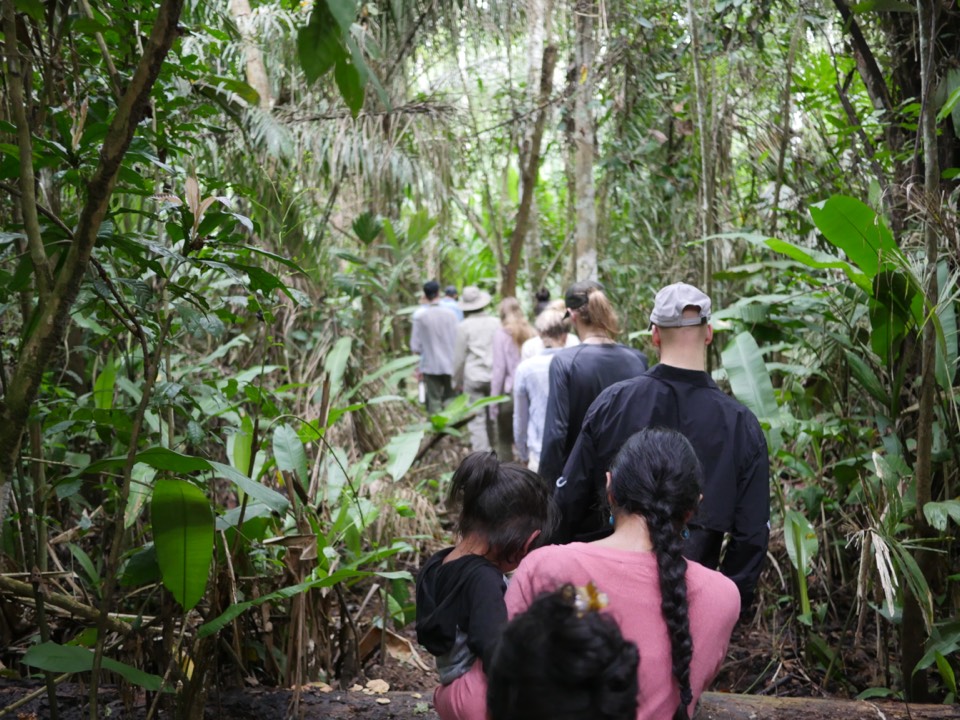A group walking single file into dense forest, seen from behind