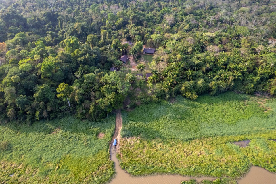 Roofs in the forest above a wetland channel, from the air