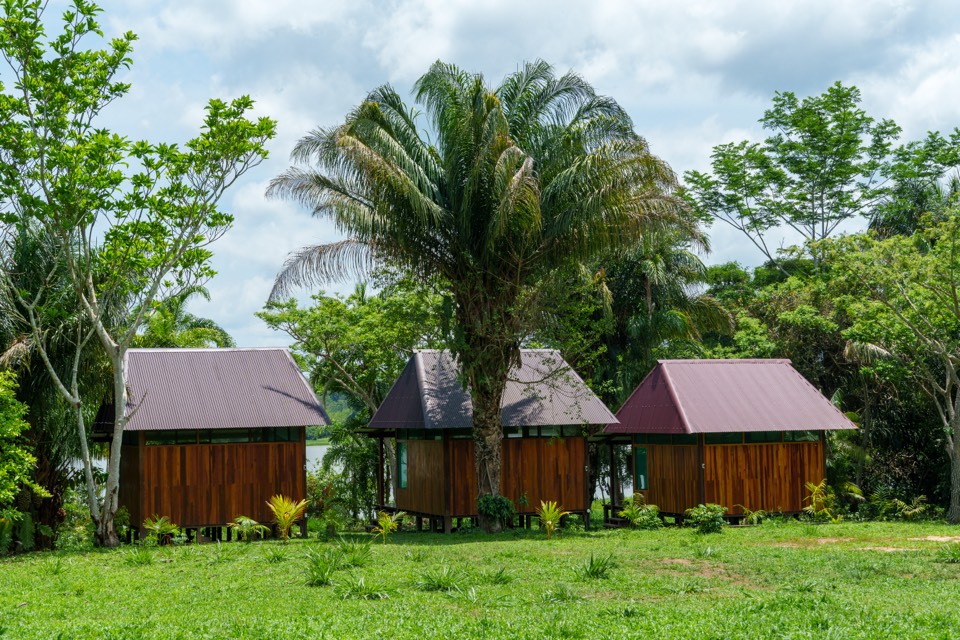 Three small cabins among palms on a lawn