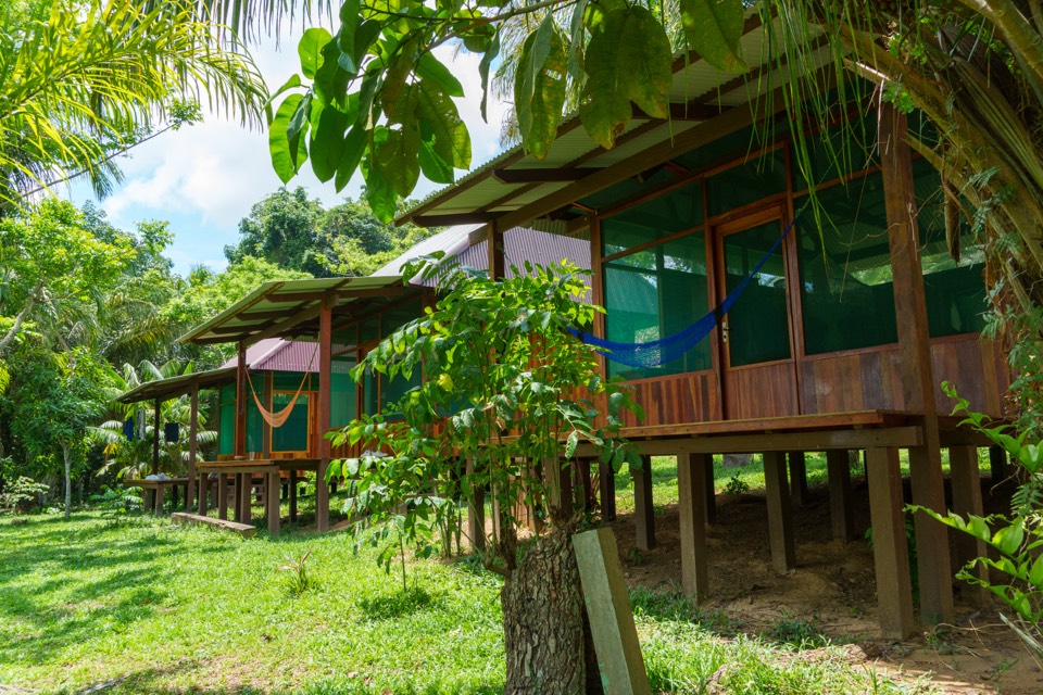 Wooden cabins on stilts among palms, hammocks on the verandas